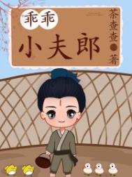 乖乖小夫郎晋江
